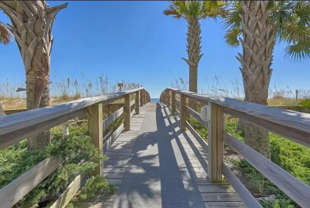 Palm 15b Gulf Shores
