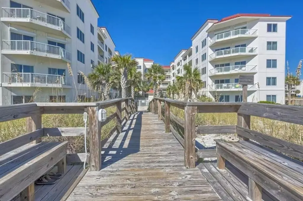 Palm 15b Gulf Shores
