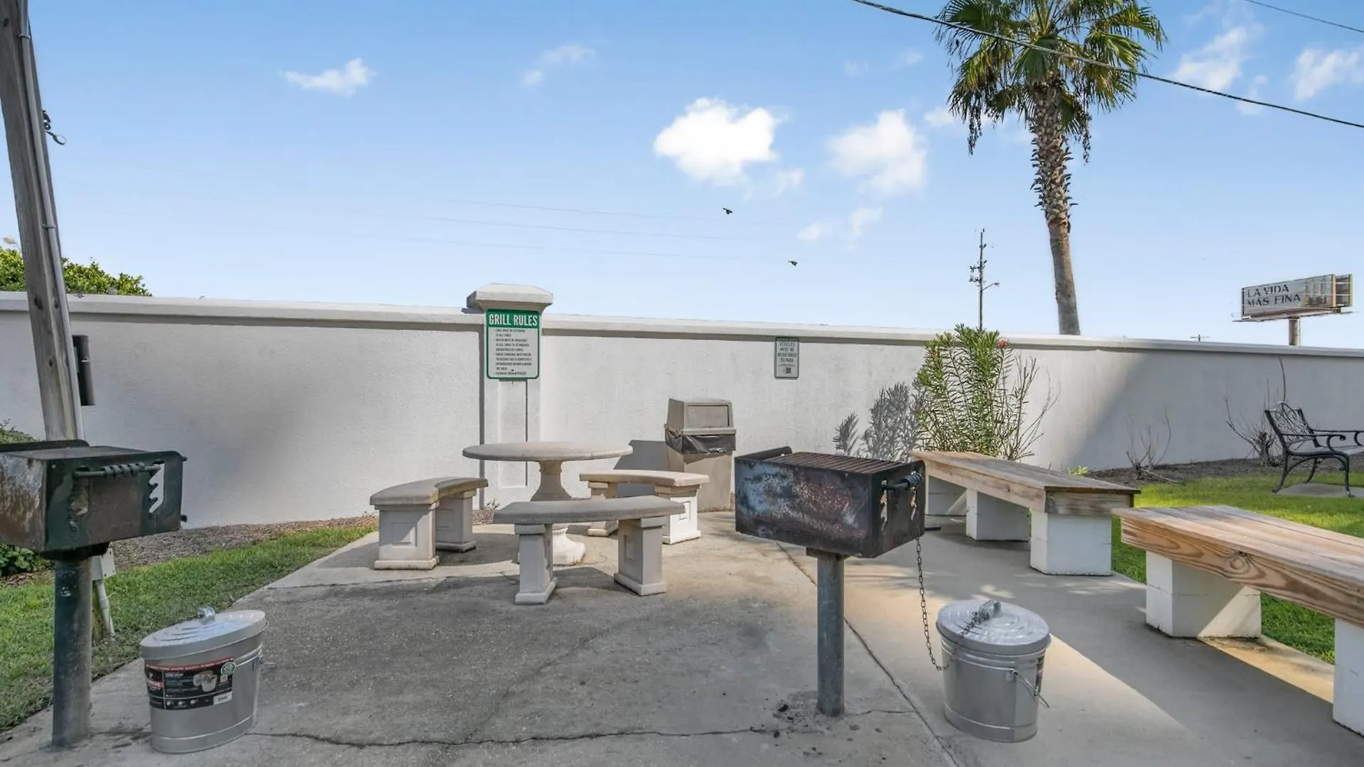 Palm C23 By Collection Gulf Shores