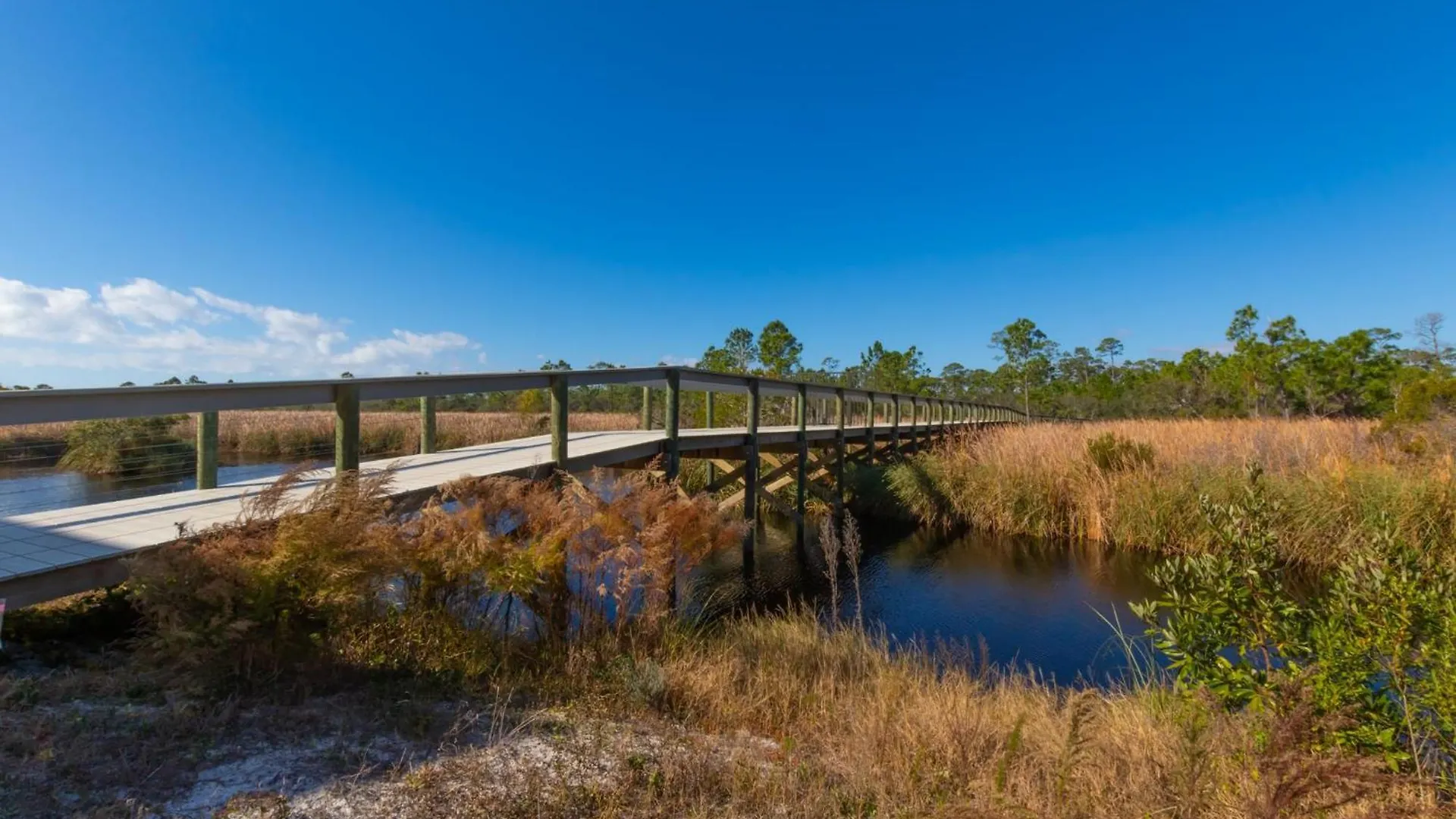 Just A Little Bvr69 By Liquid Life Holiday home Gulf Shores