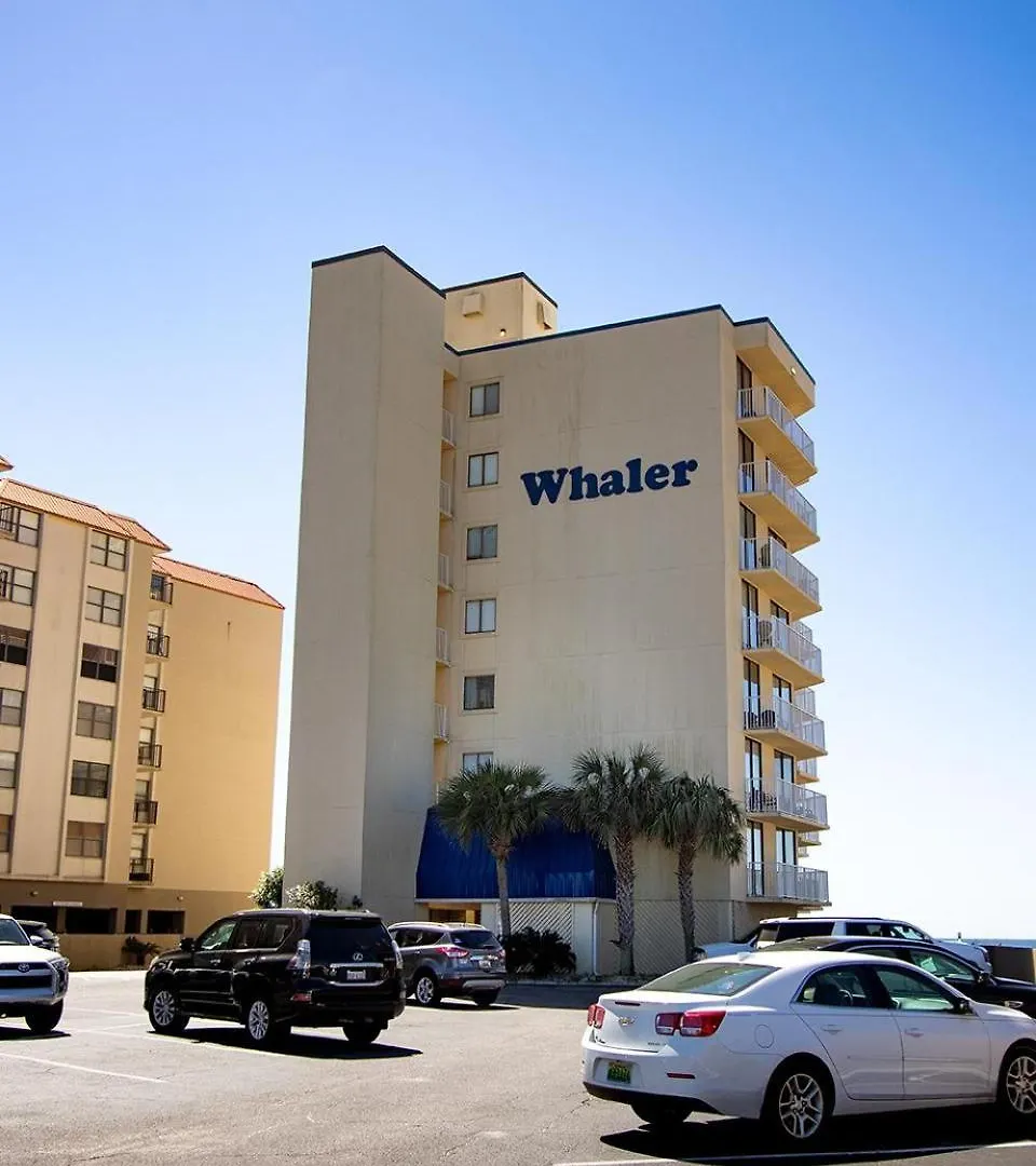 The Whaler B6
