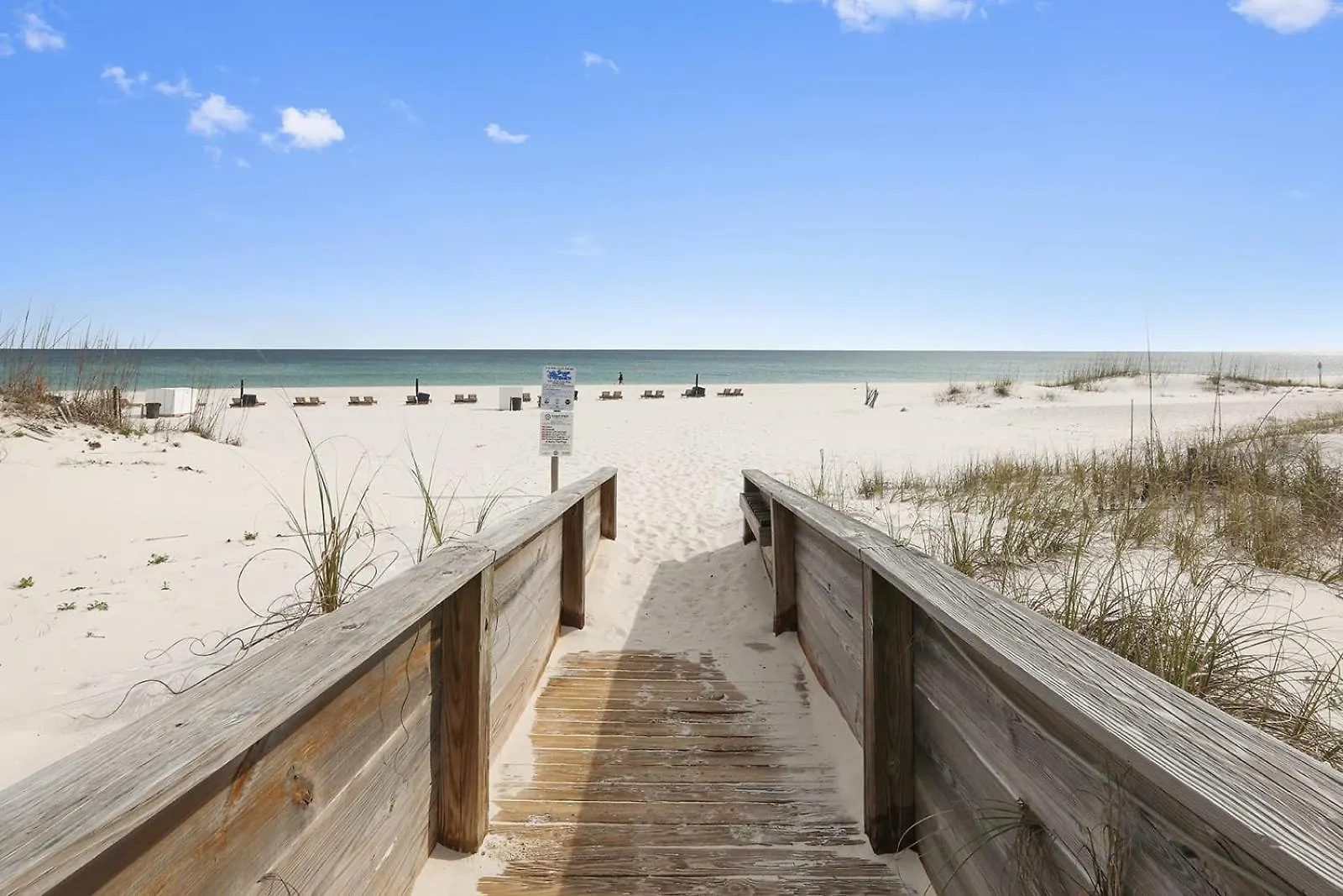 Palm 22-d Beachfront Beach-view *