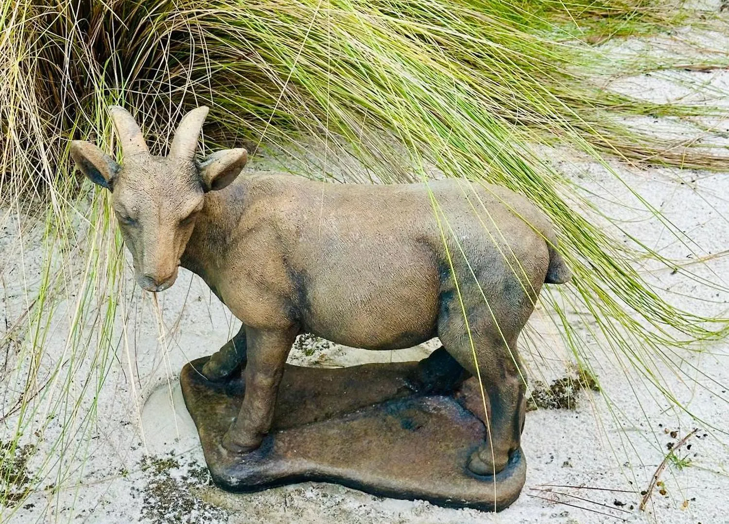 The Goat * Gulf Shores