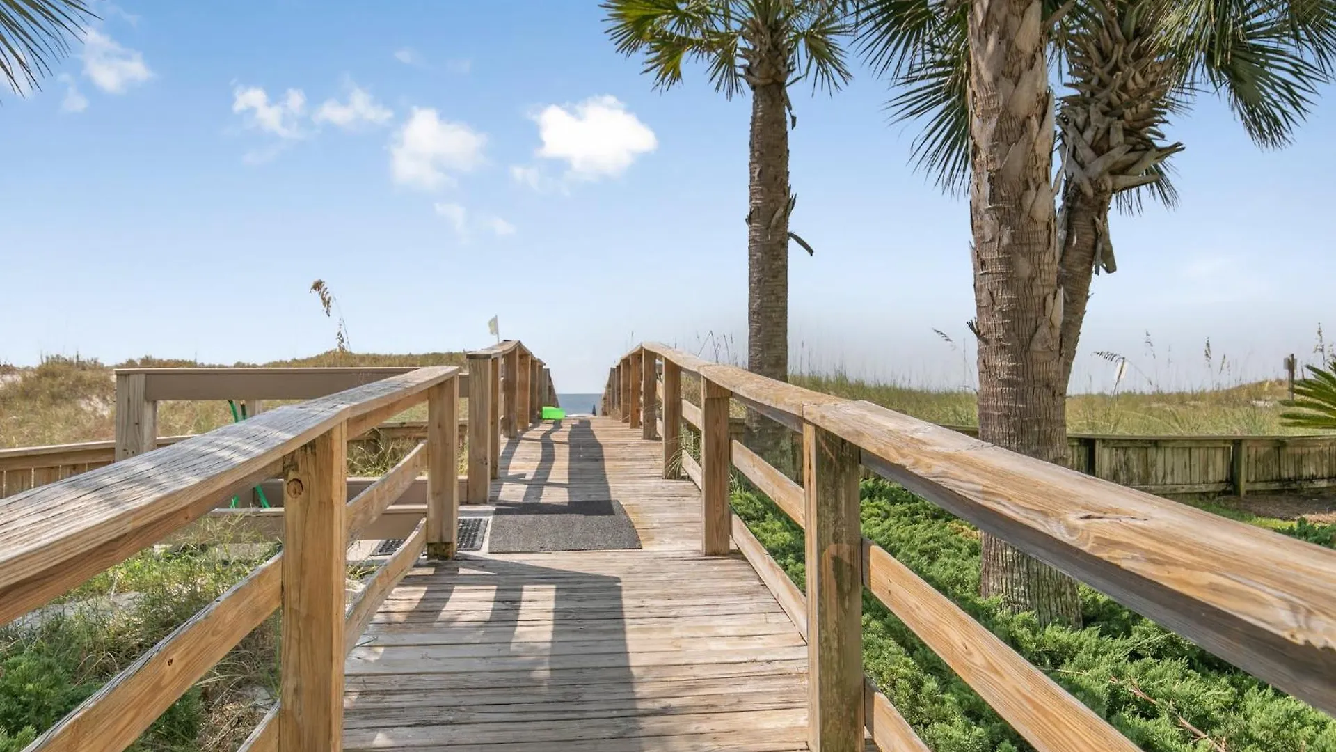 Palm C23 By Collection Gulf Shores