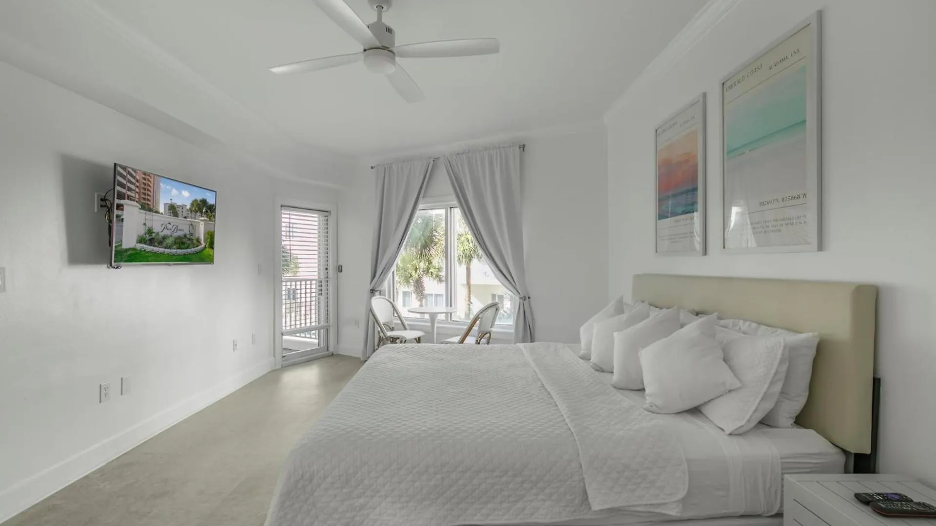 Palm C23 By Collection