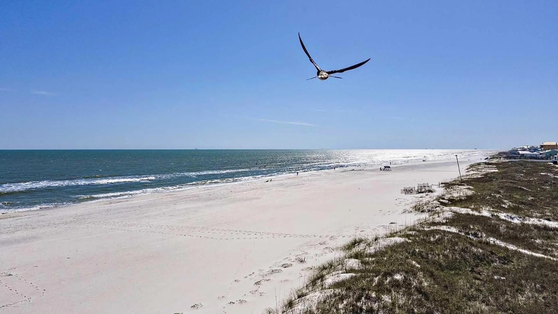 Southern Belle Gulf Shores