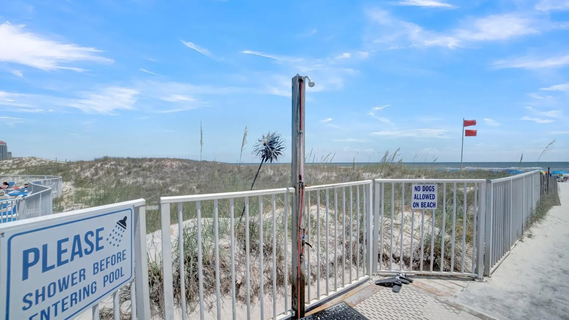Sugar 355 By Collection Gulf Shores