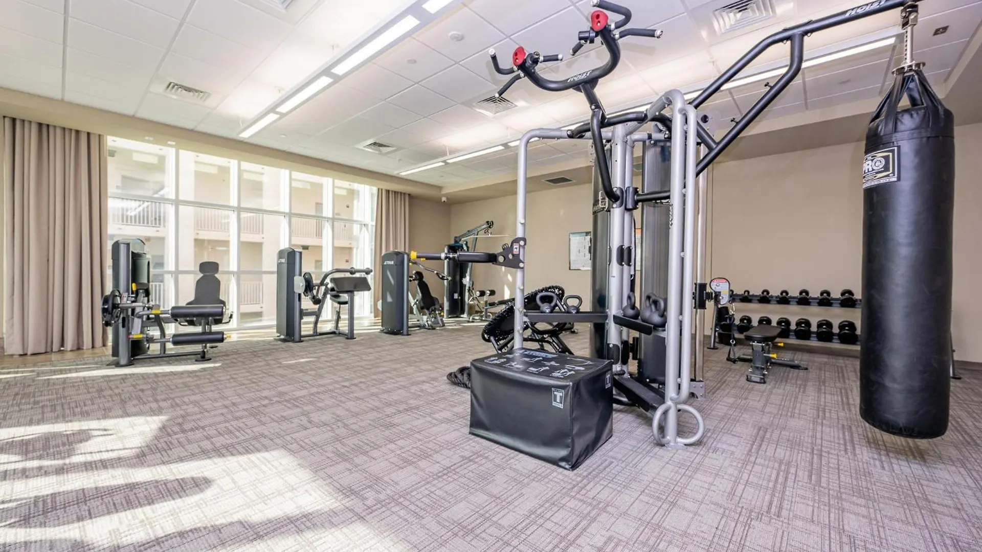 Apartment Phoenix Gulf Tower 1604 Gulf Shores