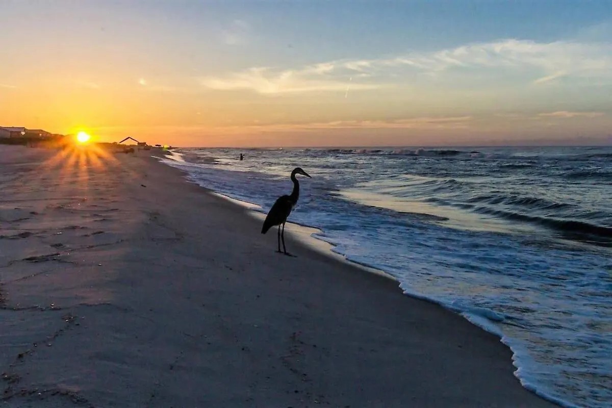 Beachclub-c807-beachfront-condo * Gulf Shores