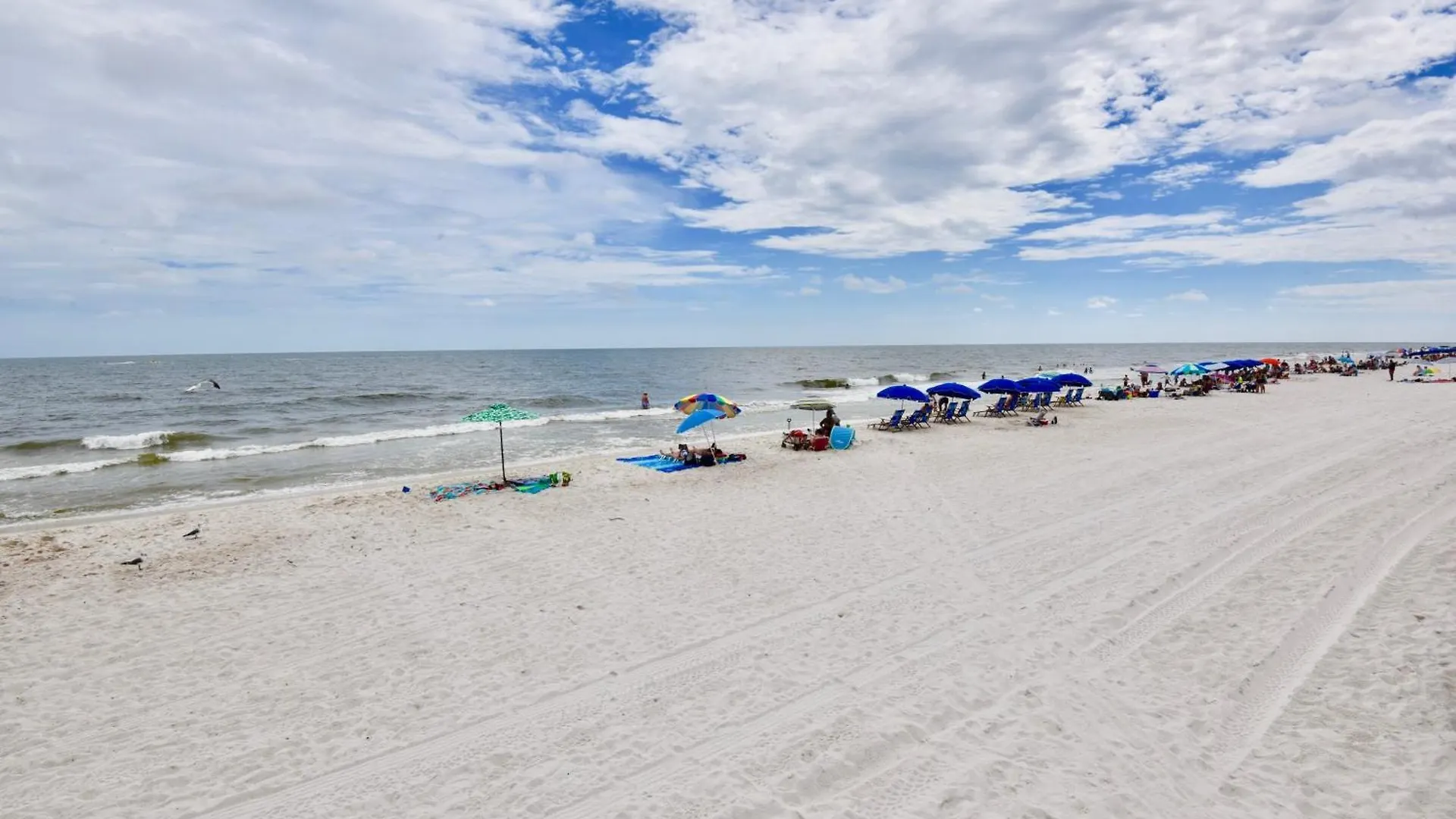 Caribbean 703 * Gulf Shores