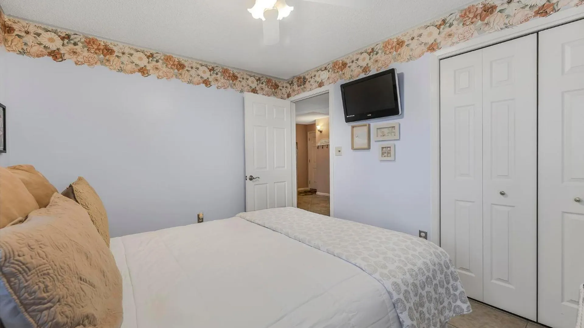 Buena Vista 302 By Collection *