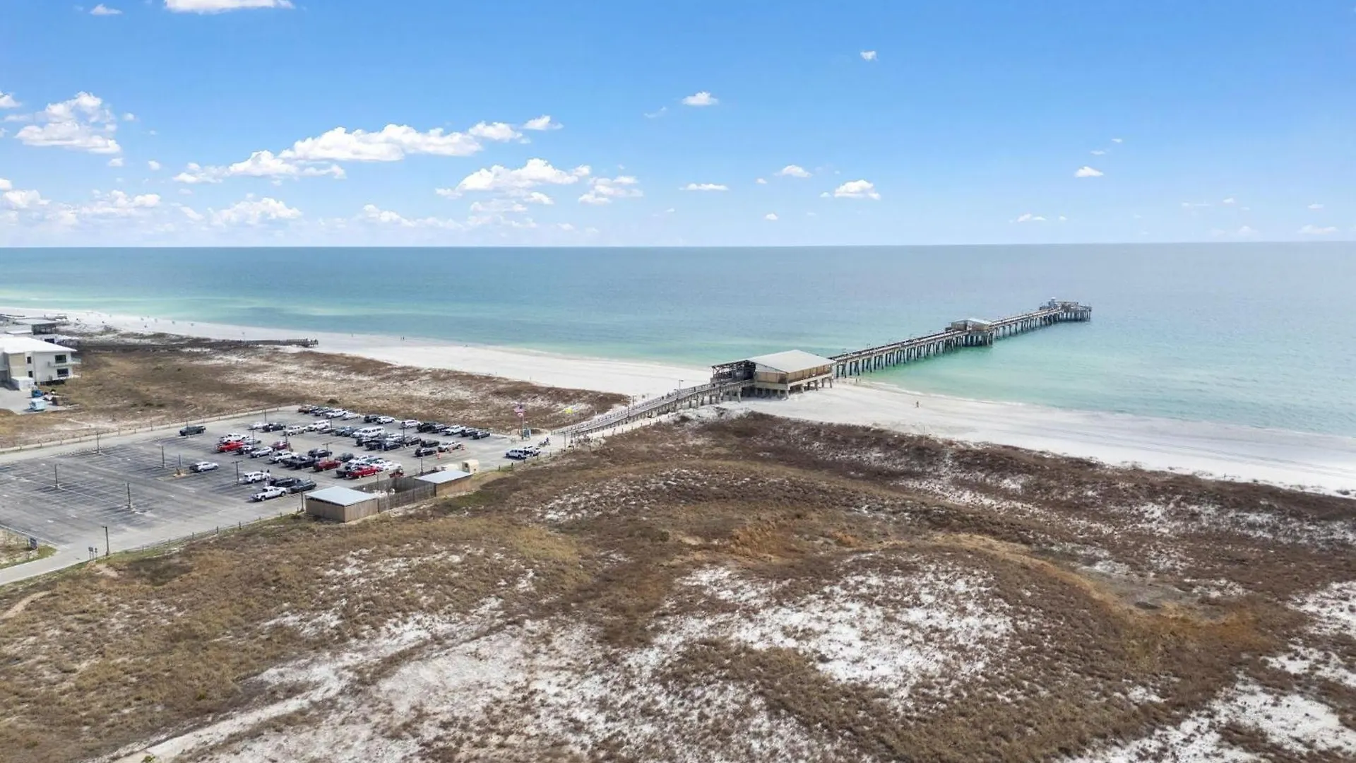 The Last Mango Gulf Shores