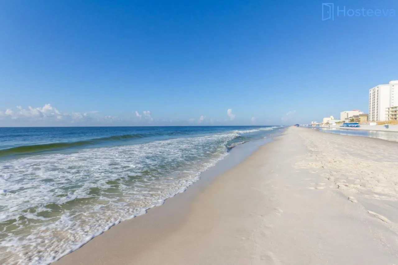 Tropical Winds 501