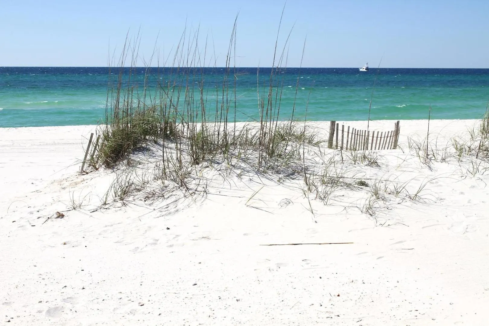 Gulf 4 Shore