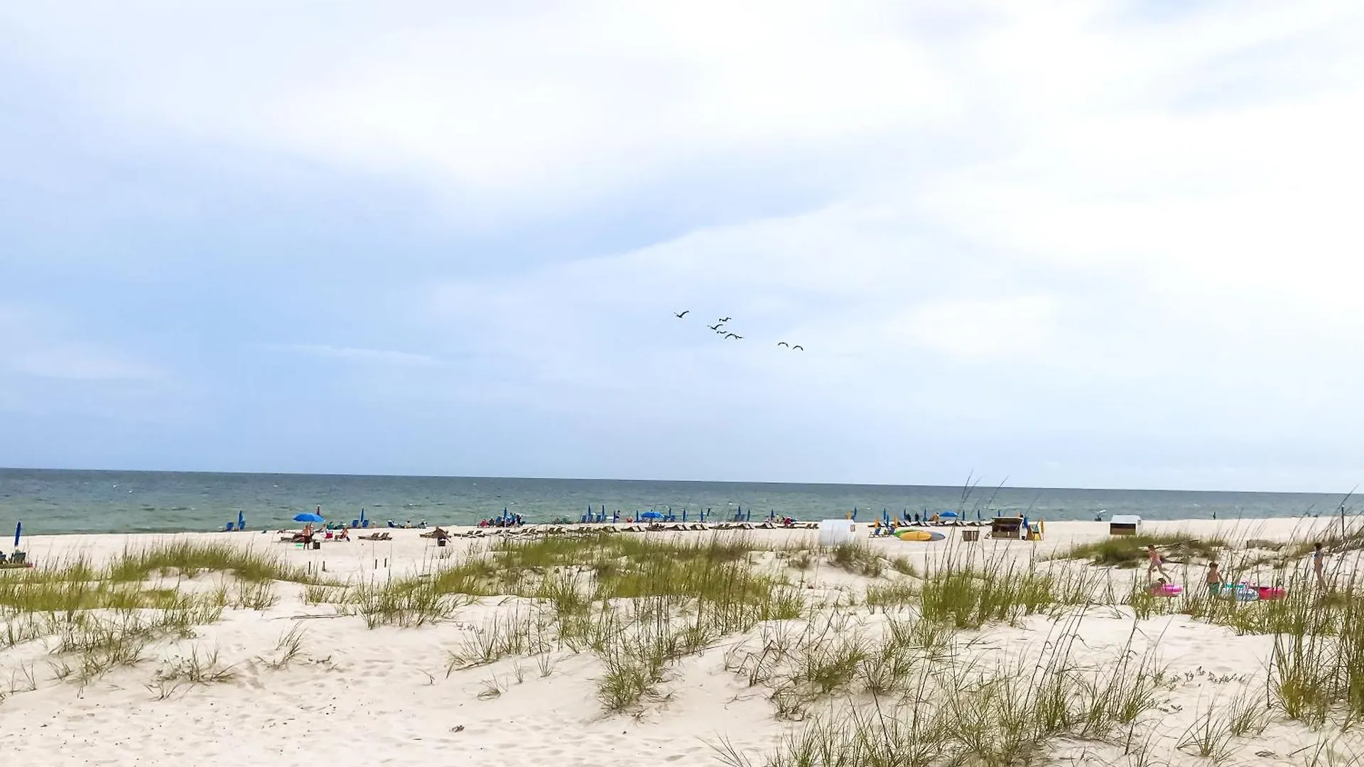 Romar Gulf Shores