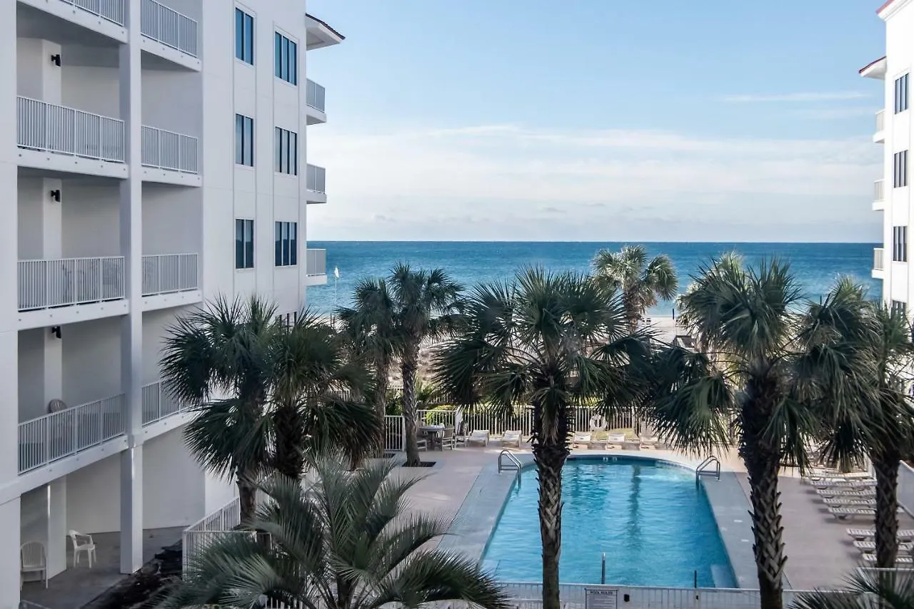 Palm Beach #c21